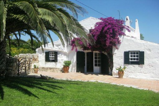 finca in San Lluis