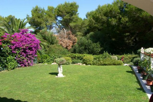 Nice garden