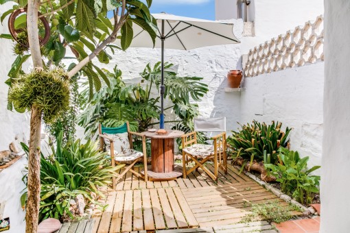 Lovely terrace with plants