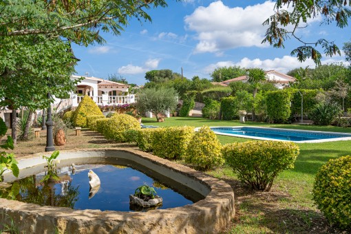 Lovely garden with pond and vegetation