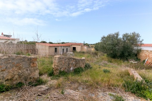 Alternative view of the plot