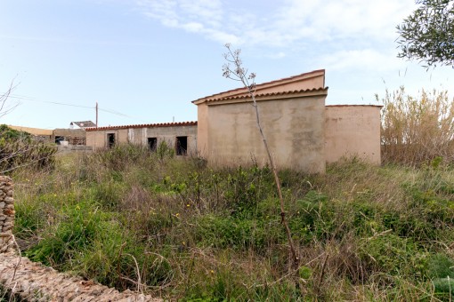 Alternative view of the plot