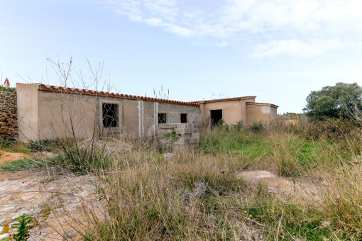 Alternative view of the plot