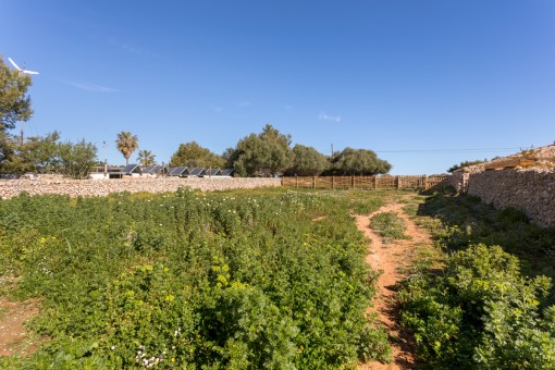 View of the plot