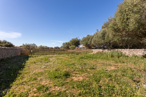 plot in San Luis