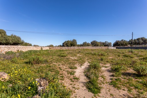 View of the plot