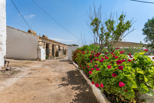 Idyllic surroundings