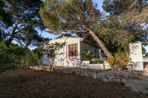 House requiring renovation on a wooded plot with sea views near to the beach of Punta Prima