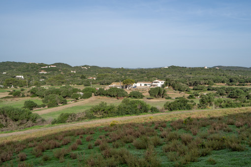 View of the finca