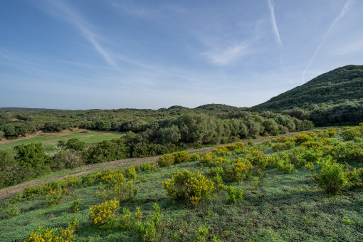 View over the plot and the countryside