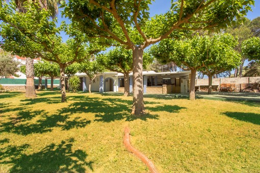 commercial in Ciutadella