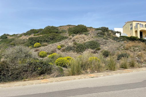View of the plot