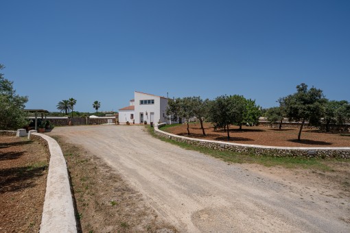 Driveway to the finca