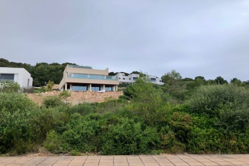 plot in Coves Noves