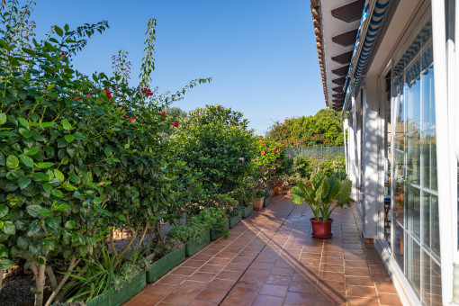 Beautifully planted terrace