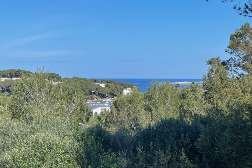 plot in Port d'en Addaia
